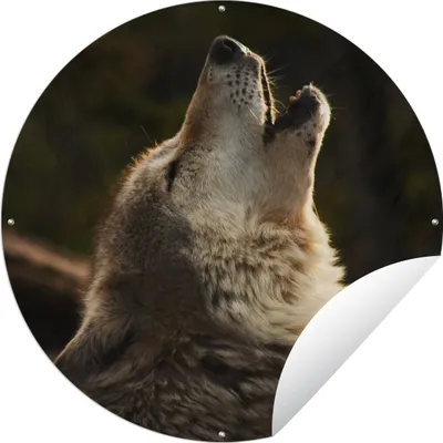 Produktbild von MuchoWow® Gartenposter Outdoor-Poster Rund Wolf - Grau - Tiere Ø 60 cm Gartendeko Rundes Poster draußen