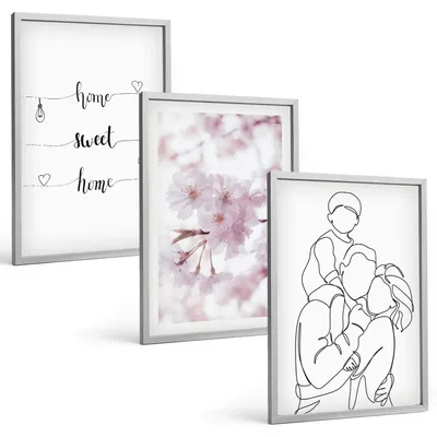 Produktbild von Bilder Set 3-teilig im silbergerahmten Rahmen – Wandbilder 3 Stück – gerahmte Poster für Wohnzimmer, Schlafzimmer und Flur – 40x60 cm – Blumenfamilie minimalistisch