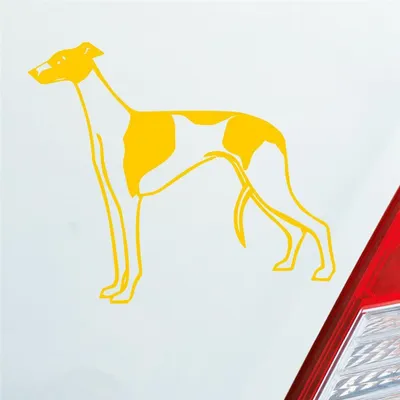 Produktbild von Auto Aufkleber Windhund Hund Dog Animal Tier 12x10 cm Gelb Sticker Heckscheibenaufkleber