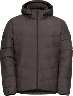 Image de JACK WOLFSKIN COLONIUS JKT M RDS, couleur tourbe, taille L