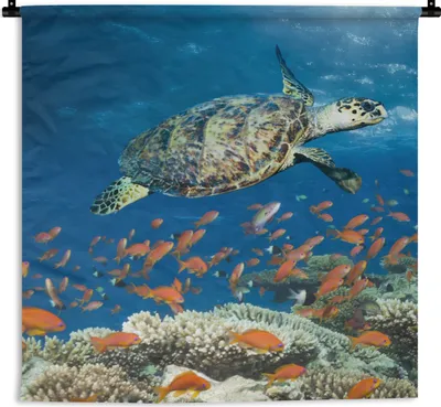 Produktbild von MuchoWow® Wandteppich Wandbehang Korallenriff mit Schildkröte 60x60 cm Tapisserie Dekoration Wandtuch - Dekorationen - Wand Decke