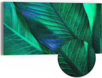 Produktbild von DEQORI Hybrid Leinwand Bild 60x30 cm 'Tropenblattstruktur' Wandbild Glas flach modern
