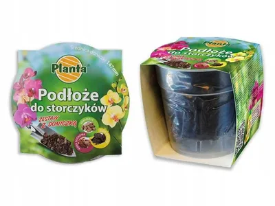 Zdjęcie produktu dla Zestaw ziemi do storczyków z doniczką 1,1 litra