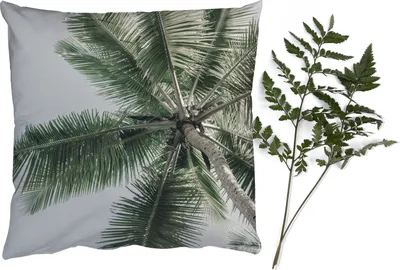 Produktbild von MuchoWow® Zierkissen Sofakissen Wohnzimmer Dekokissen 45x45 cm Palme - Tropisch - Sommer - Schlafpolster - Polster für das Sofa