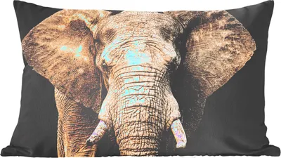 Produktbild von MuchoWow® Zierkissen Sofakissen Wohnzimmer Dekokissen 50x30 cm Elefant - Porträt - Schwarz - Wohnzimmerdekoration - Polster mit Photo