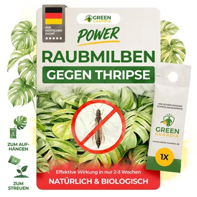 Produktbild von Power Raubmilben gegen Thripse, 1 Tüte, Biologisches Mittel zur effektiven Thripse Bekämpfung & Spinnmilben Bekämpfung – GREEN GUARDIA