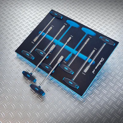 Produktbild von 9-teiliges Nuss-Set mit T-Griff im Schaumstoffmodul