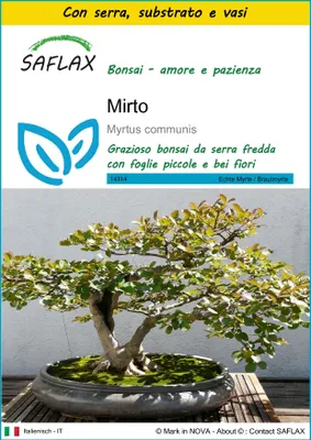 Immagine prodotto di SAFLAX Insieme di coltivazione - Mirto - 30 semi - Myrtus
