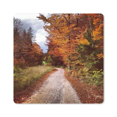 Produktbild von MuchoWow® Mauspad Mousepad Herbst - Herbstblätter - Weg - Wald 30x30 cm - Mousepads - Maus Mat - Pad - Mausunterlage - Gaming