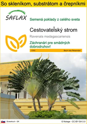 Obrázok produktu pre SAFLAX Kultivačný set - Cestovateľský strom - Ravenala madagascariensis - 8 Semená - S mini skleníkom, pestovateľským substrátom a 2 črepníkmi