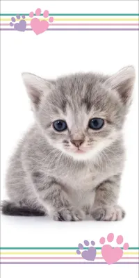 Immagine prodotto di Asciugamano per bambini Asciugamano da spiaggia Asciugamano da doccia Kitten "Colour" con zampe di gattino, 70x140 cm, 100 % cotone