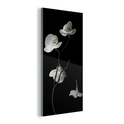 Obrázok produktu pre MuchoWow® Sklenené obrazy - Obrazy na stenu - Foto na skle Orchidea - Kvety - Čierna - Biela - Zátišie 20x40cm Nástenná dekorácia zo skla - akrylový sklenený
