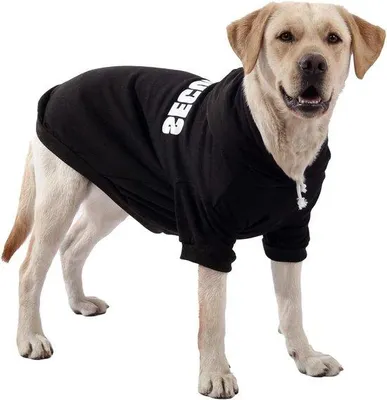 Immagine prodotto di Abbigliamento invernale per cani di taglia piccola e media - XL - Colore scuro - Pantaloni di lana per cani di taglia piccola e media, per stare al caldo in autunno e in inverno.