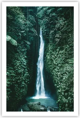 Produktbild von Poster - Poster ohne Rahmen - Tropen Wasserfall Dschungel - 61x91,5 cm - Wand Bild - Wanddeko - Wandbilder - Kunstposter - Wandposter - Bilder - Kunstdruck - Wanddekoration - Wandbild P2XPA61x91-5103