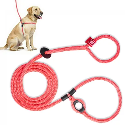 Immagine prodotto di Omgoods - Imbracatura per cani - Imbracatura comoda per cani di taglia media