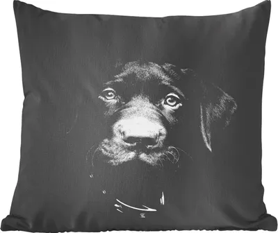 Produktbild von MuchoWow® Zierkissen Sofakissen Wohnzimmer Dekokissen 60x60 cm Tierprofil Hund in schwarz und weiß - Sitzfläche - Foto Polster