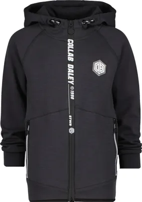 Produktbild von VINGINO Daley Blind Jungen Sweatjacke Jacke ORTEGA metal grey Gr.128