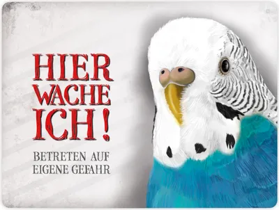 Produktbild von Metallschild XL mit Wellensittich Motiv und Spruch: Betreten auf eigene Gefahr