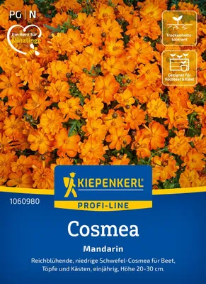 Produktbild von Kiepenkerl Cosmossamen Mandarin Cosmos sulphureus 30 Pflanzen