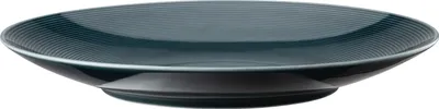 Immagine prodotto di Thomas Loft by Rosenthal Speiseteller, Teller, Porzellan, Night Blue, 28 cm, 11900-401916-10229