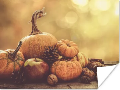 Produktbild von MuchoWow® Poster Kürbis - Herbst - Tannenzapfen - Obst - Apfel 160x120 cm - Foto Plakat