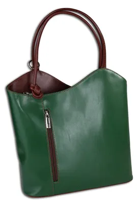 Image de Toscanto Handbags , Sac à dos vert, marron Cuir OTT106SG