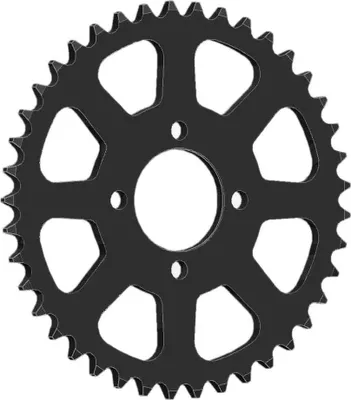 Immagine prodotto di Pignone ESJOT 428 49T acciaio nero