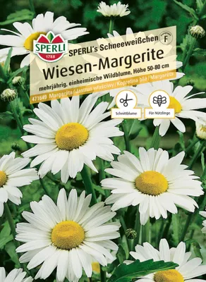 Produktbild von Sperli Blumensamen Wiesen-Margerite Schneeweißchen für ca. 200 Pflanzen