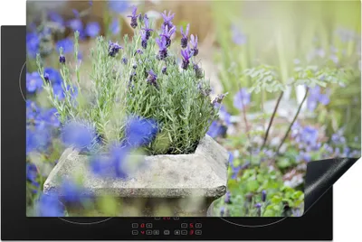 Produktbild von KitchenYeah© Herdabdeckplatte Nahaufnahme von Lavendel in einem Garten , 81x52cm, Küche Deko, Glaskeramikkochfeld Herdabdeckung, Abdeckplatte fùr Kochfeld
