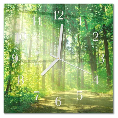 Produktbild von Tulup Glasuhr Wanduhr Küchenuhr Echt-Glas 30x30 cm Modern Dekorativ Geräuschlos Weiße Zeiger - Waldnatur