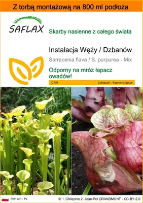 Zdjęcie produktu dla SAFLAX - Garden in the bag - Instalacja Węży / Dzbanów - 10 Nasiona - Z podłożem uprawowym w praktycznej, samorozkładającej się torbie - Sarracenia flava / S. purpurea - Mix