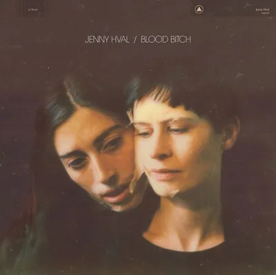 Immagine prodotto di Jenny Hval: Jenny Hval - Blood Bitch (Clear Smoke Vinyl) - jpc Schallplatten - (LP / B)