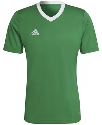Imagen del producto de Camiseta deportiva Adidas Entrada 22 "Team Green / White" para Hombre