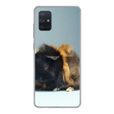 Produktbild von MuchoWow® Handyhülle Schutzhülle Hülle für Samsung Galaxy A71 Zwei kleine Meerschweinchen Silikon Softcase Handy Hülle - Kartenbesitzer