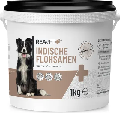 Zdjęcie produktu dla REAVET Indyjskie nasiona psyllium dla koni, psów i kotów 1kg - Naturalne w najwyższej jakości - bogate w błonnik + śluz I Nasiona psyllium na trawienie I Bez dodatków