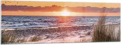 Produktbild von Bilder auf glas - Einteilig - Sonne Strand Vögel - 160x50cm - Glasbilder - Wandbilder - Bilder - zum Aufhängen bereit - Wanddekoration aus Glas - Glas Bilder - Wandbild auf Glas - GAB160x50-4727