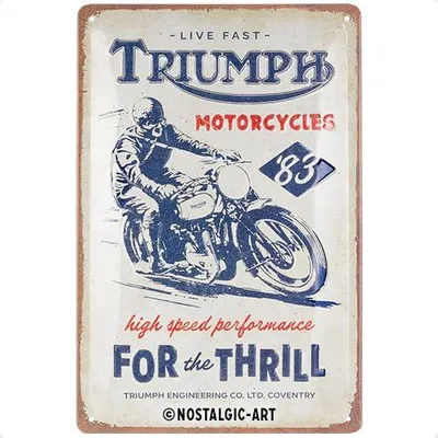 Produktbild von Blechschild Retro 20x30 cm Triumph – Nostalgie, Vintage Deko