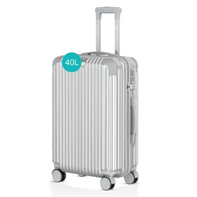 Immagine prodotto di Voyagoux® - Valigia da trasporto - 40L - Trolley - Valigia da viaggio con ruote - Argento - Chiusura TSA