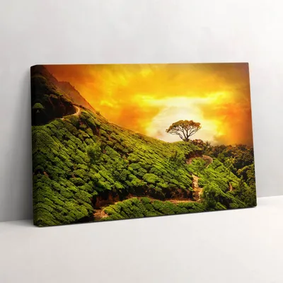 Produktbild von Teehügel – Leinwandbild Wandbild – 60x40 cm – Leinwandbilder – Wandbilder – Schlafzimmer – Flur