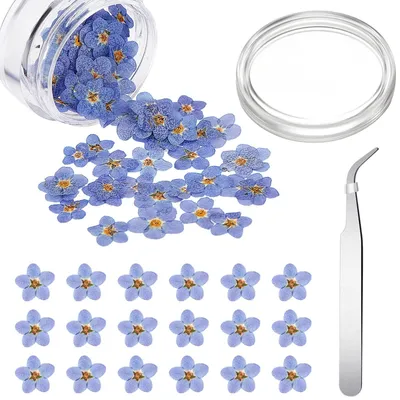 20 Vergissmeinnicht Trockenblumen mit Pinzette für DIY
