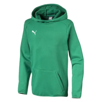 Zdjęcie produktu dla Puma Bluzy Liga Casuals Hoody JR, 65563605, Rozmiar: 140