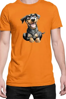 Immagine prodotto di Maglietta da uomo Funny Dogs Breeds Rottweiler Dog Breed, Man 2XL , Orange