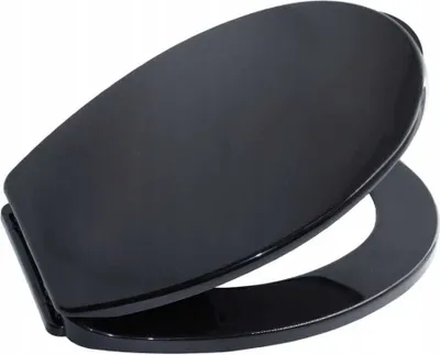 A black toilet seat is shown from a slightly elevated angle against a white background.