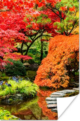 Produktbild von MuchoWow® Poster Bäume - Japanisch - Steine - Weg - Natur 80x120 cm - Papierdruck