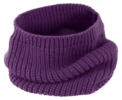 Image de Result Winter Essentials - Écharpe à capuche « Whistler » LT4872 (taille unique) (violet)
