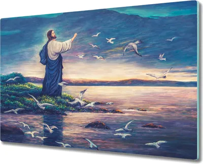 Produktbild von Coloray Herdabdeckplatte 80x52 cm Schneidebrett Kochplattenabdeckung Küchenbrett Hackbrett - Religiöse Seevögel