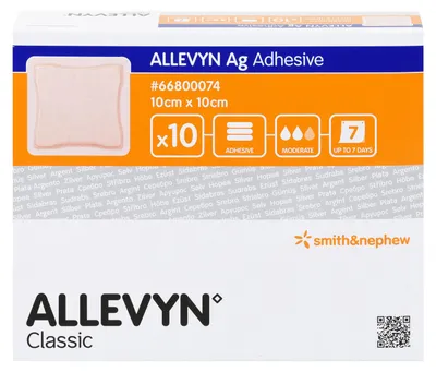 Image de Allevyn Ag Adhesive 10x10 cm pansement 10 pces