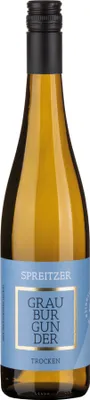 Produktbild von Grauburgunder QbA trocken 2022 Rheingau | Deutschland | 12% vol | 0,75 l