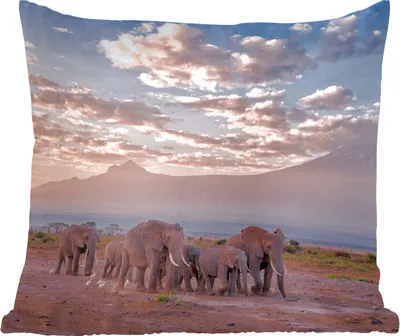 Produktbild von MuchoWow® Zierkissen Sofakissen Wohnzimmer Dekokissen 50x50 cm Elefant - Tiere - Abend - Landschaft - Savanne - Komfort - Sofakissen