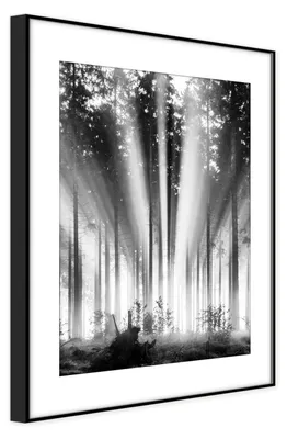 Obrázek produktu pro STYLER ARTBOX Obraz "Mlha a slunce", 50x70 cm, v rámu, krajina, motiv: mlha, slunce, příroda, moderní dekorace na zeď, vhodný do obývacího pokoje